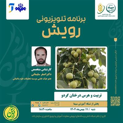 تربیت و هرس درختان گردو