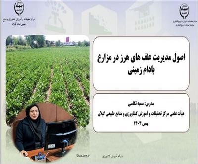 نبرد با علف‌های هرز در زراعت بادام