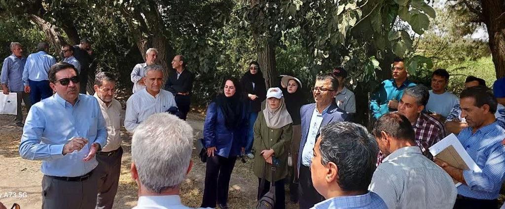 مزرعه الگویی ذرت در شهرستان تهران
