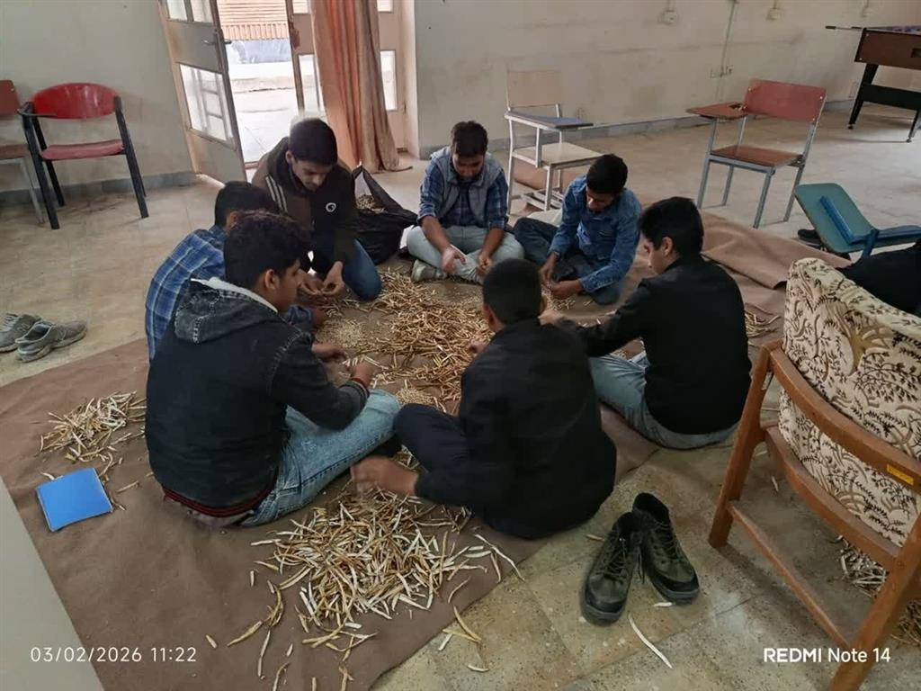 برداشت ۱۵۰ كیلوگرم لوبیا در هنرستان كشاورزی خوزستان؛ دستاورد آموزش همراه با تولید